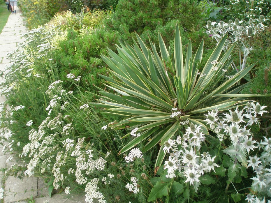 Contrasting textures, in the Long Border
