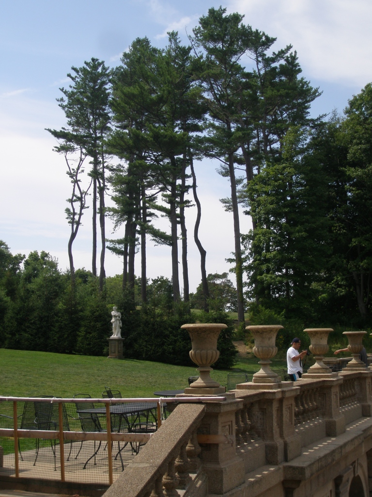 At tje Casino's balustrade, we look back uphill, toward a grove of old pine trees.